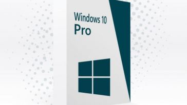 windows 10 pro license