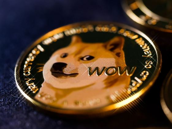 Mining Dogecoin: What is Dogecoin and is Mining it Worth Your Time? | 🖥 ...