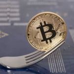 blockchain fork