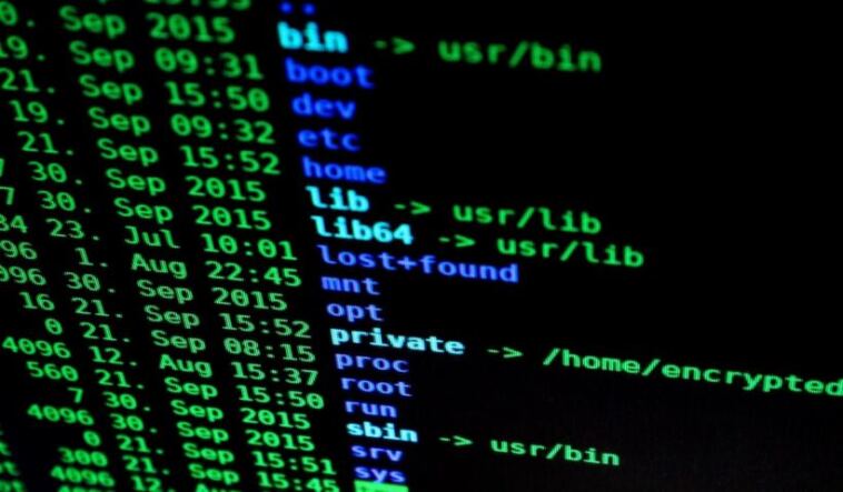 What are Data Flow Diagrams Used For?